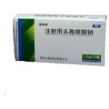 九新药业 注射用头孢哌酮钠
