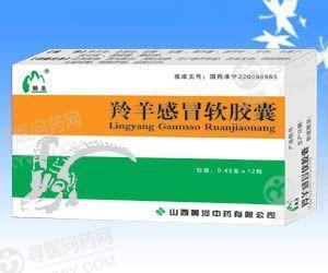 黄河中药 羚羊感冒软胶囊