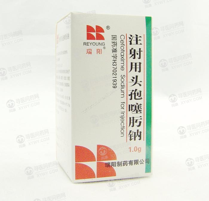 瑞阳制药 注射用头孢噻肟钠