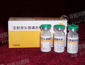 国产和进口头孢噻肟钠在4种注射液中的稳定性比较