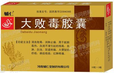 河南辅仁堂 大败毒胶囊