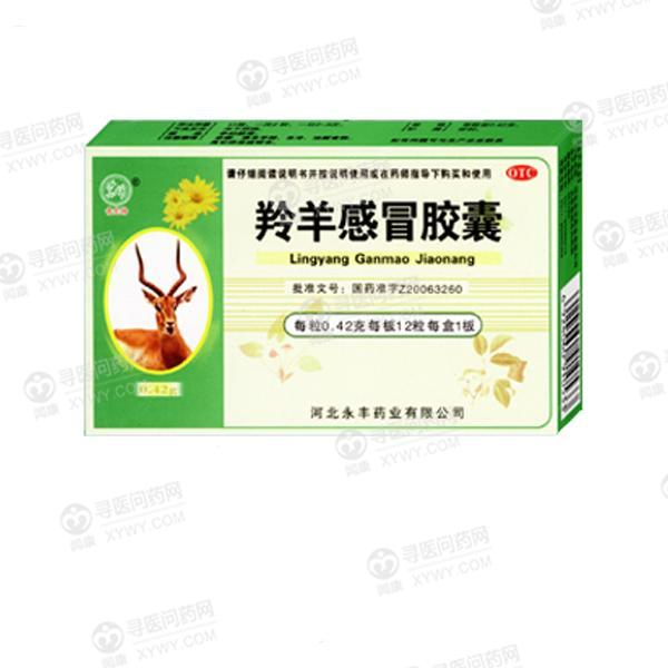 石药集团永丰药业(河北) 羚羊感冒胶囊