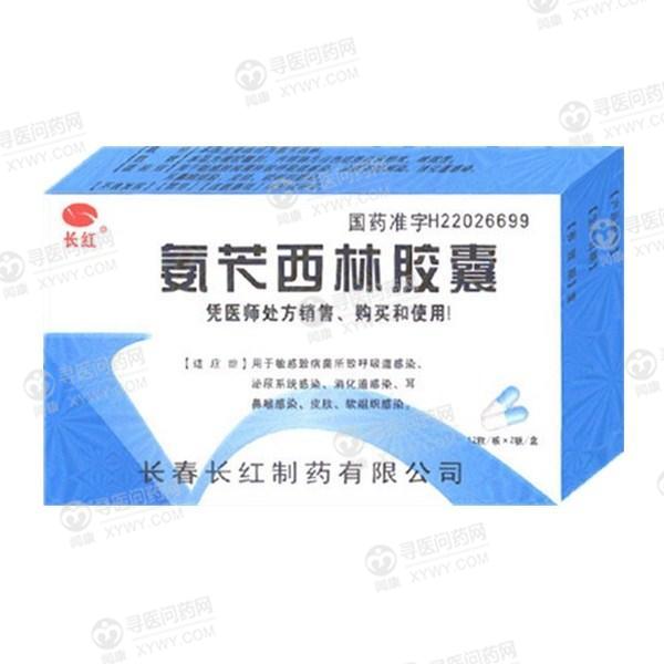 长红制药 氨苄西林胶囊