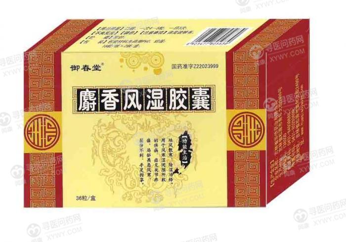 修正药业 麝香风湿胶囊说明书