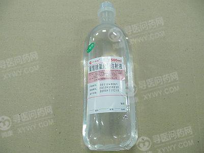 辰欣 葡萄糖氯化钠注射液