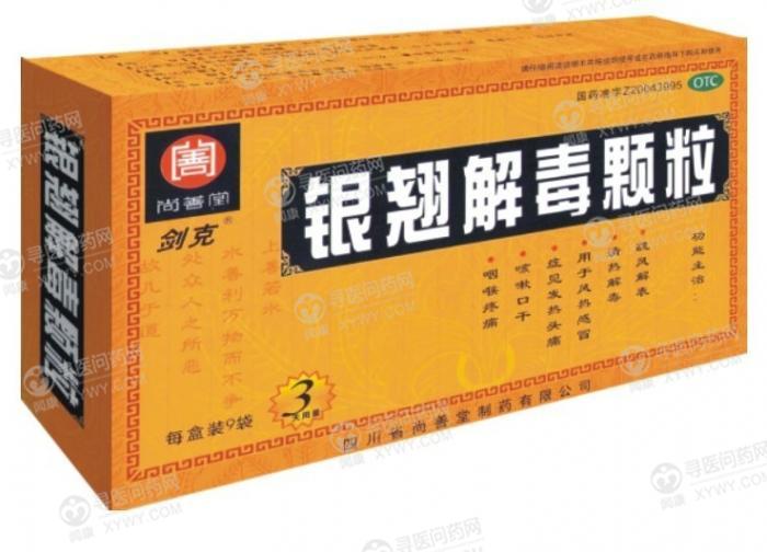 尚善堂 银翘解毒颗粒